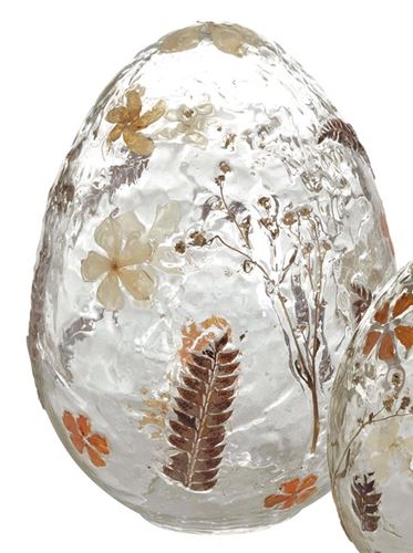 Siv dekoration glas blommor växter